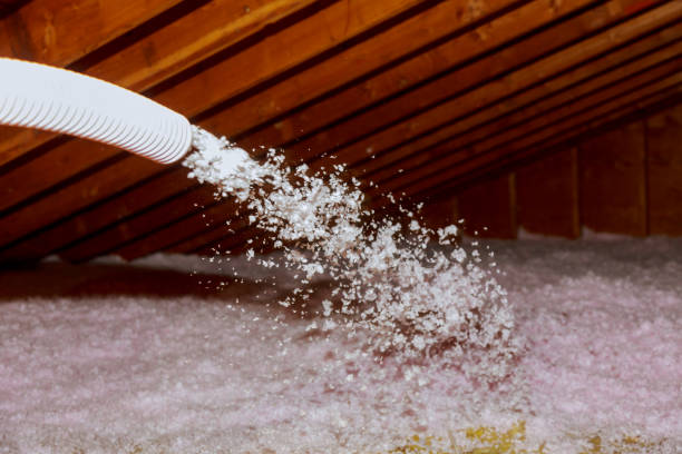 Trusted Westminster, CO Insulation Contractor Experts