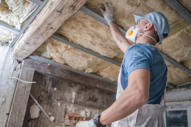 Best Geographic-Specific Insulation Services in Westminster, CO