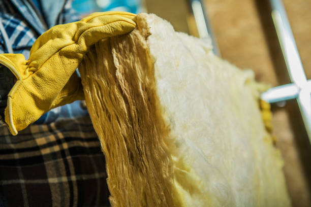 Best Commercial Insulation in Westminster, CO
