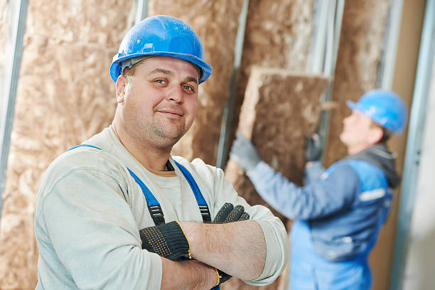 Best Eco-Friendly Insulation in Westminster, CO